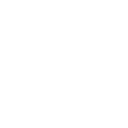 Luxury Car